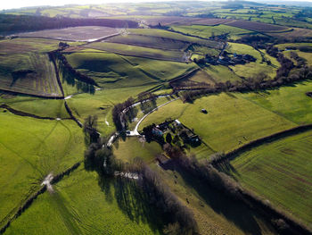 High angle view of agricultural field