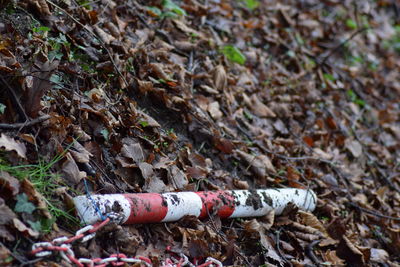 High angle view of cigarette on field