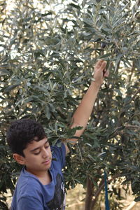 Boy picking leaves while standing in park