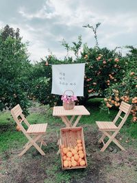 Information sign on tree by plants in field against sky