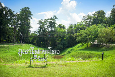 View of trees on field against sky