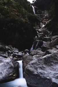 Scenic view of waterfall in forest