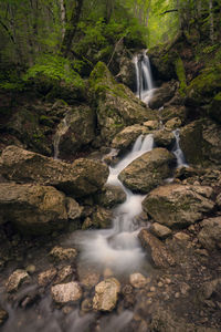 Scenic view of waterfall in forest