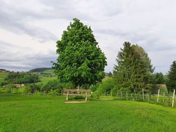 Trees on field against sky