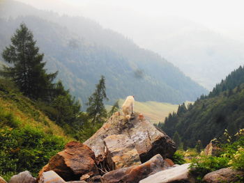 Scenic view of mountains