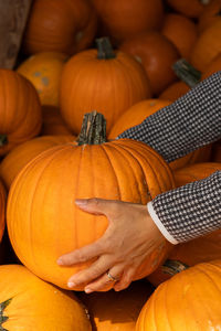 Full frame shot of pumpkins