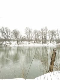 Reflection of trees in calm lake