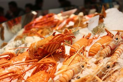 Close-up of seafood in plate