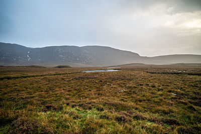 Scenic view of landscape against sky