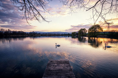 View of ducks swimming in lake