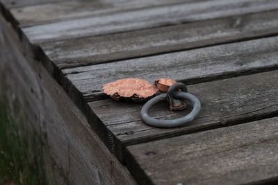 Close-up of wooden plank