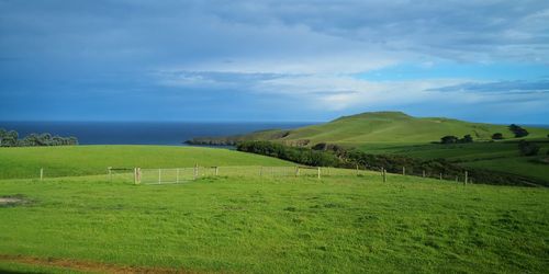 Scenic view of grassy field by sea against sky