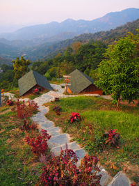 Trees and plants growing on field by mountain against sky