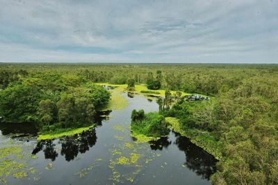 Scenic view of river amidst field against sky