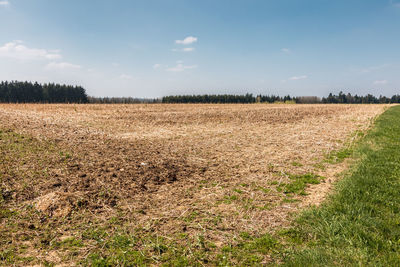 Scenic view of field against sky