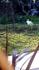 Person on field seen through car windshield