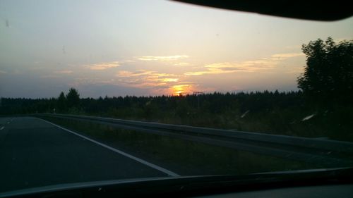 Road passing through forest