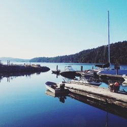 Boats moored at harbor against clear sky