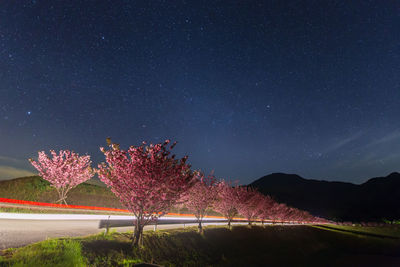Scenic view of lake against sky at night
