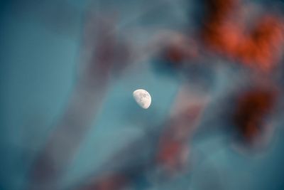 Low angle view of moon against sky