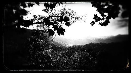 Scenic view of landscape against cloudy sky