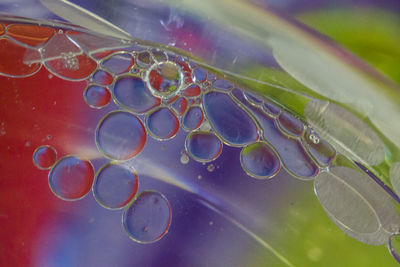 Close-up of bubbles floating on water