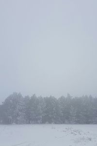 Scenic view of trees against sky