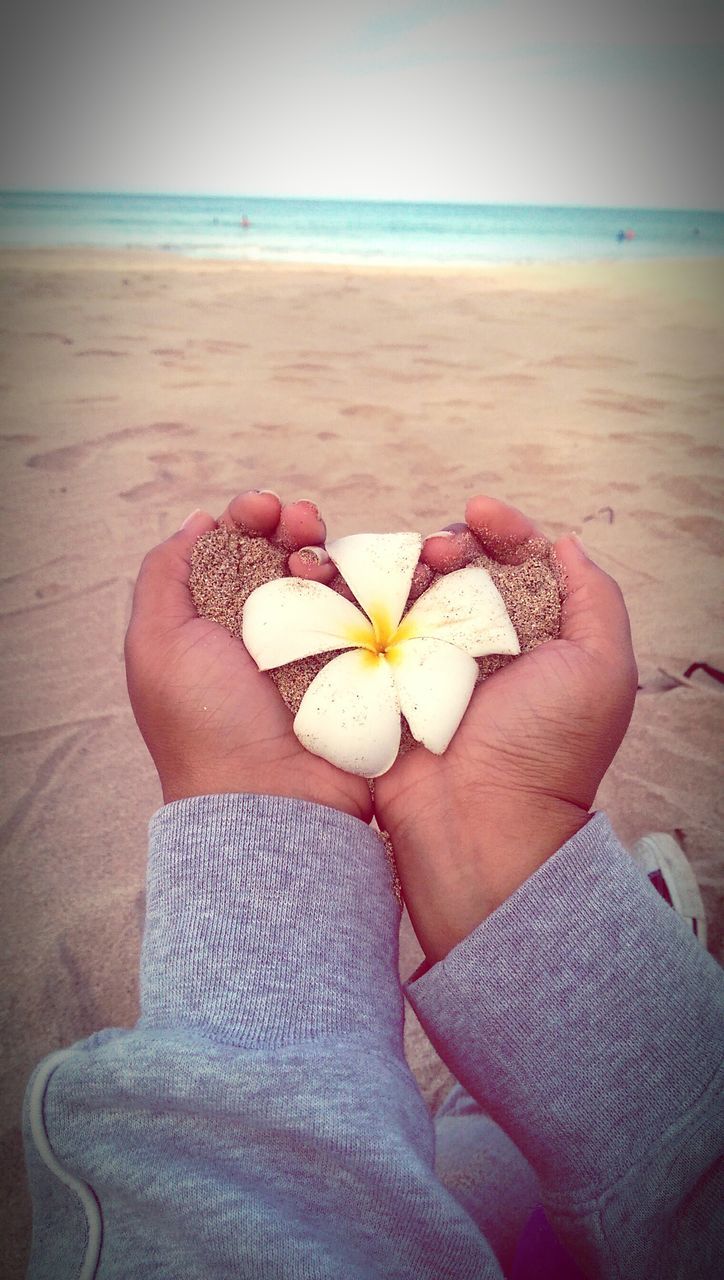 flower, beach, personal perspective, sea, beauty in nature, sand, low section, person, lifestyles, nature, leisure activity, freshness, water, horizon over water, high angle view, relaxation