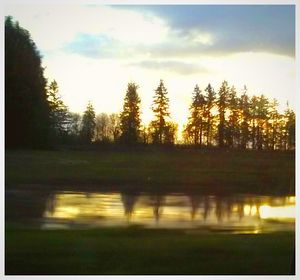 Trees on landscape against sky during sunset