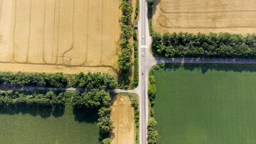 Aerial drone view flight over asphalt road between yellow and green agricultural fields on summer. 