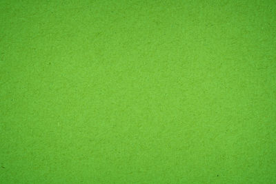 Full frame shot of green textured surface