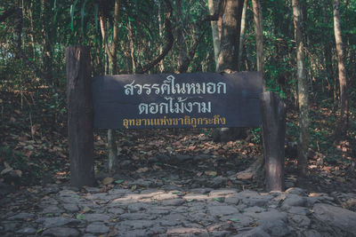 Information sign on tree trunk in forest