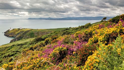 Scenic view of sea against cloudy sky