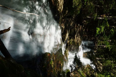 Scenic view of waterfall in forest