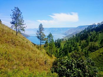 Scenic view of landscape against cloudy sky