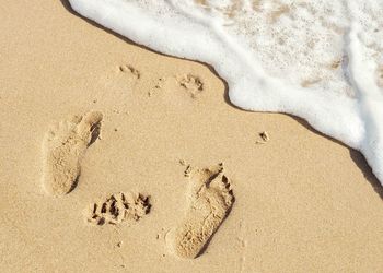 High angle view of footprints on beach