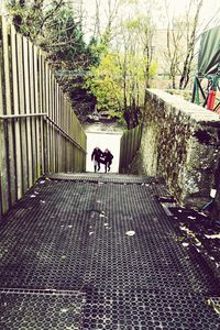 Full length of woman walking on road