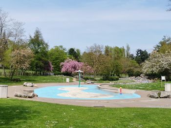 Trees and plants on field by swimming pool against sky