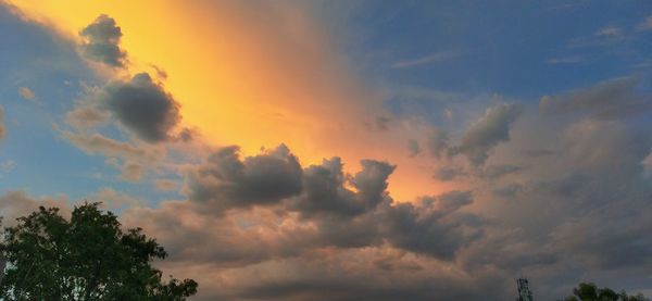 Low angle view of trees against dramatic sky