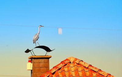 Low angle view of seagull perching on roof against clear sky