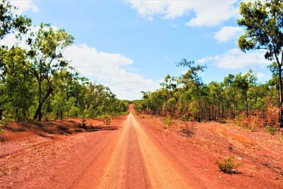 Road amidst trees against sky