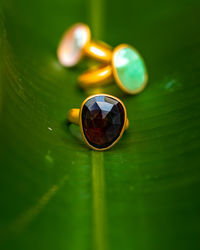 Produc photo rings in a green leaf 