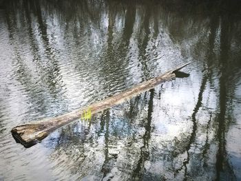 High angle view of driftwood on tree trunk by lake