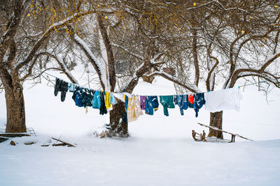 Clothes hanging on clothesline in trees in a snowy winter day