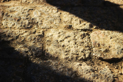 High angle view of weathered wall