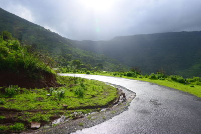 environment