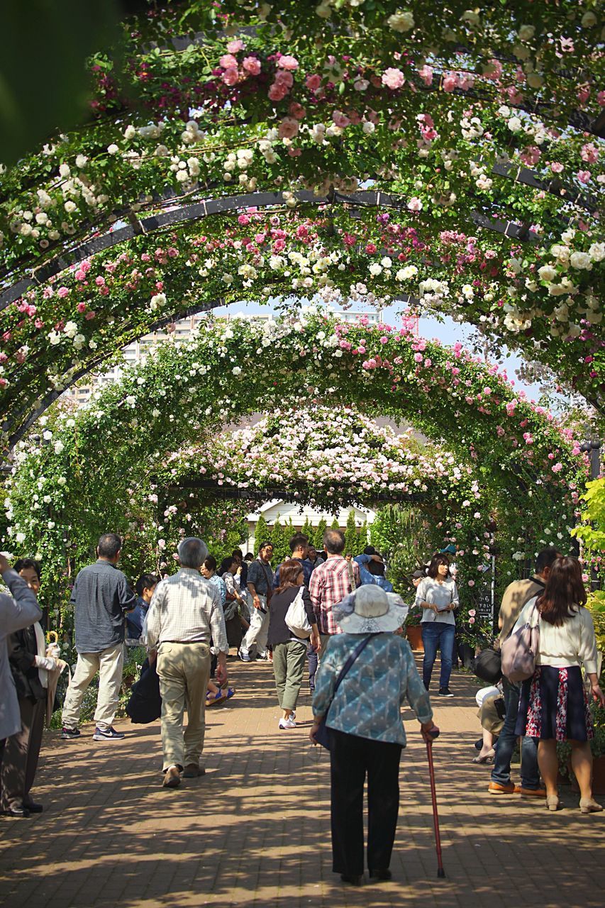 person, large group of people, tree, lifestyles, men, flower, walking, leisure activity, park - man made space, growth, rear view, nature, footpath, mixed age range, togetherness, outdoors, freshness, standing, beauty in nature