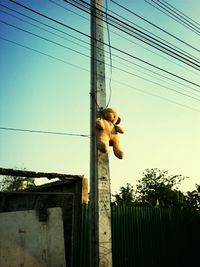 power line