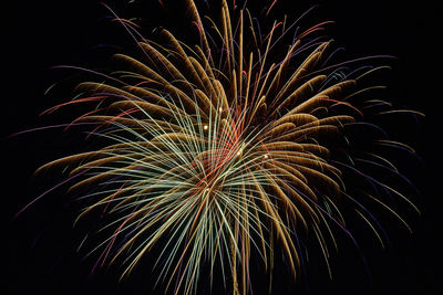 Low angle view of firework display at night