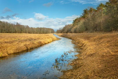 River uherka flowing through dry meadows and forest, early spring view